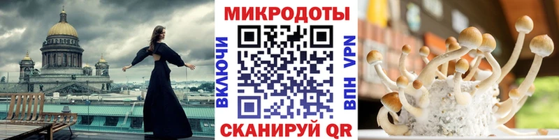 Галлюциногенные грибы MAGIC MUSHROOMS  это наркотические препараты  Межгорье  где можно купить  