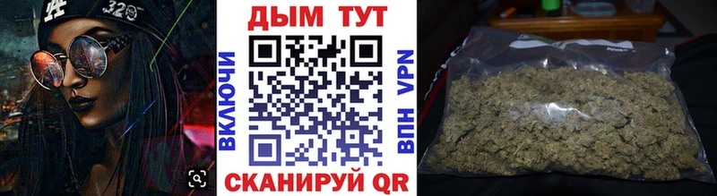 Шишки марихуана Amnesia  Межгорье 